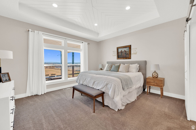 352 East Boulderville Road Oakley, UT 84055 - Photo 20 of 62 Bedroom featuring a raised ceiling, carpet flooring, a barn door, and recessed lighting