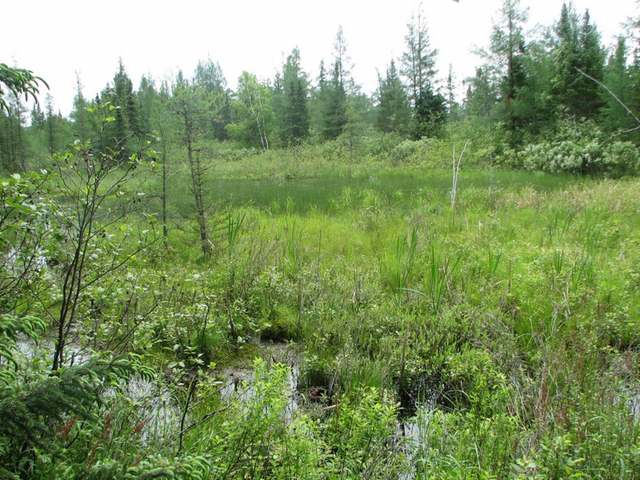 Off North Pelican Lake Road Rhinelander, WI 54501 - Photo 17 of 20 Gallery Image 17