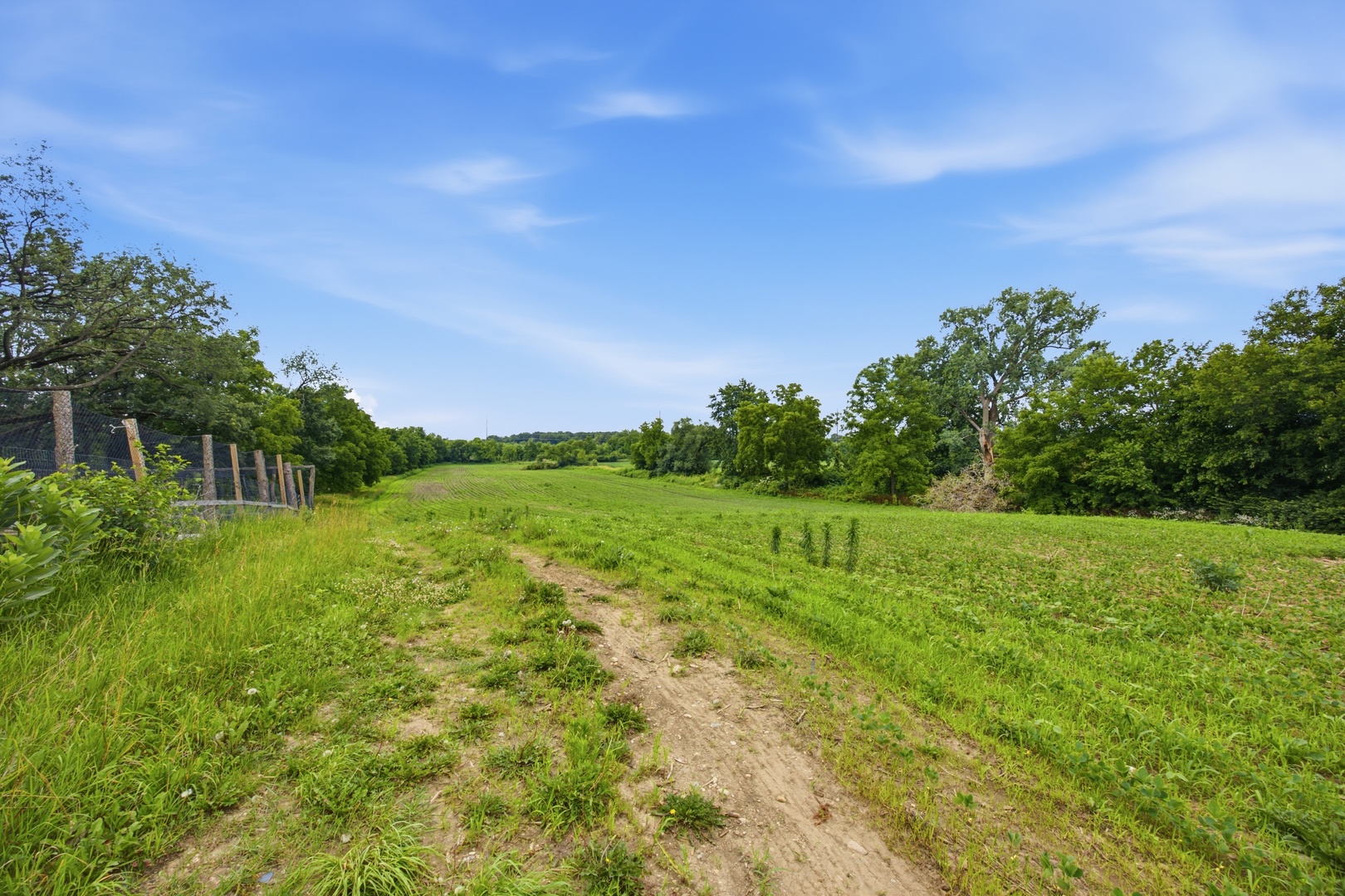 37W961 Bowes Road Elgin, IL 60124 - Photo 45 of 51