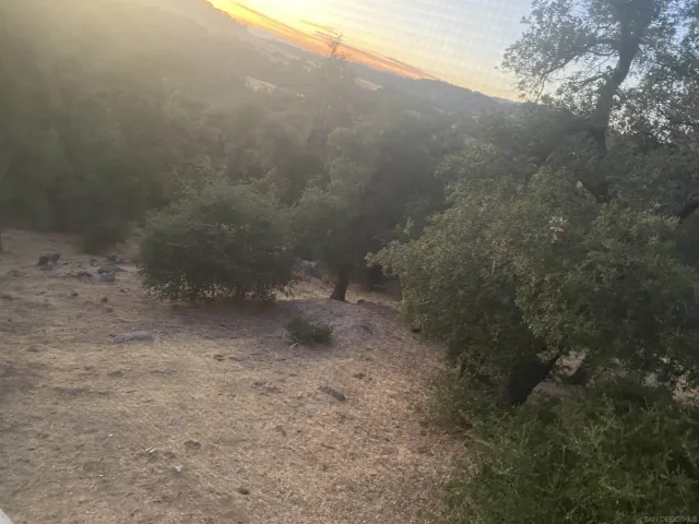 a view of a dry yard with wooden fence