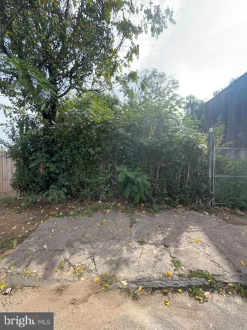 a view of a yard with a tree