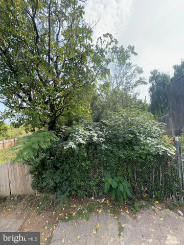 a view of a yard with plants and large trees