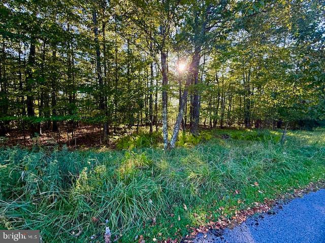 60 Sundance Way McHenry, MD 21541 - Photo 2 of 10 a view of outdoor space and yard