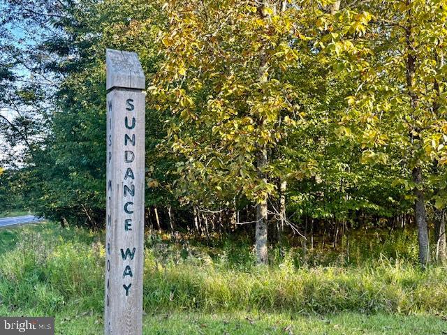 60 Sundance Way McHenry, MD 21541 - Photo 3 of 10 a partial view of garden