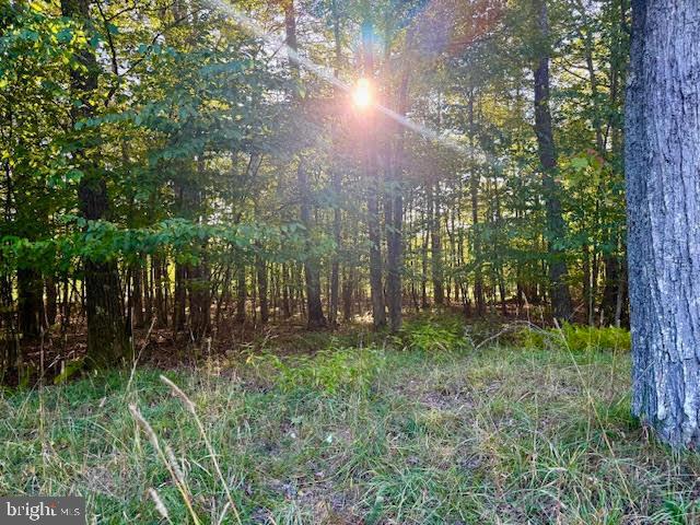 60 Sundance Way McHenry, MD 21541 - Photo 4 of 10 a view of forest