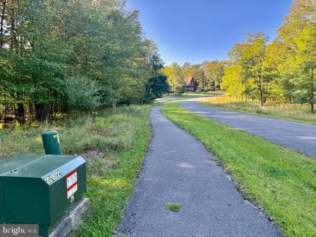 a view of a garden with trees