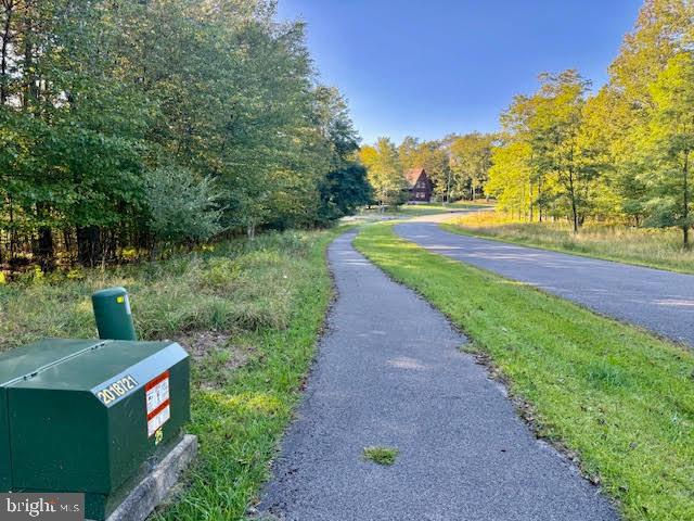 60 Sundance Way McHenry, MD 21541 - Photo 5 of 10 a view of a garden with trees