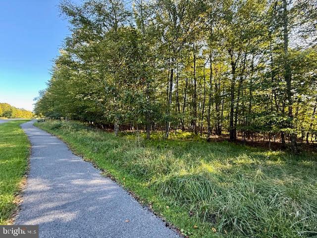 60 Sundance Way McHenry, MD 21541 - Photo 7 of 10 a view of a yard with large trees