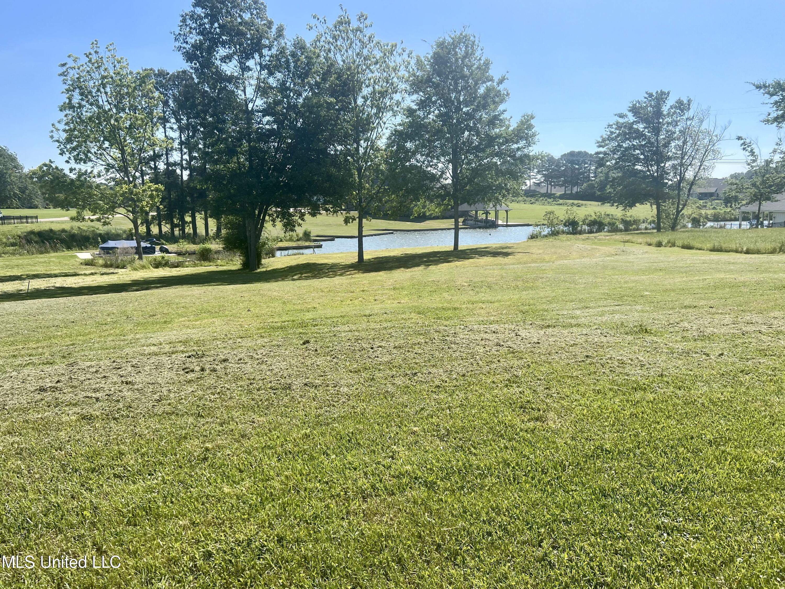 209 Harbor View Drive Madison, MS 39110 - Photo 14 of 22 IMG_1019