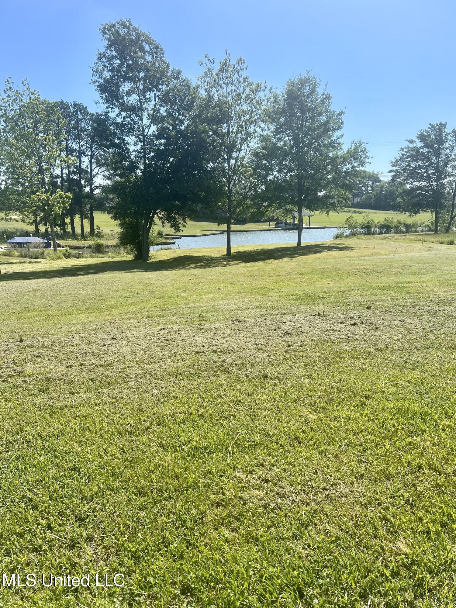 209 Harbor View Drive Madison, MS 39110 - Photo 15 of 22 IMG_1020