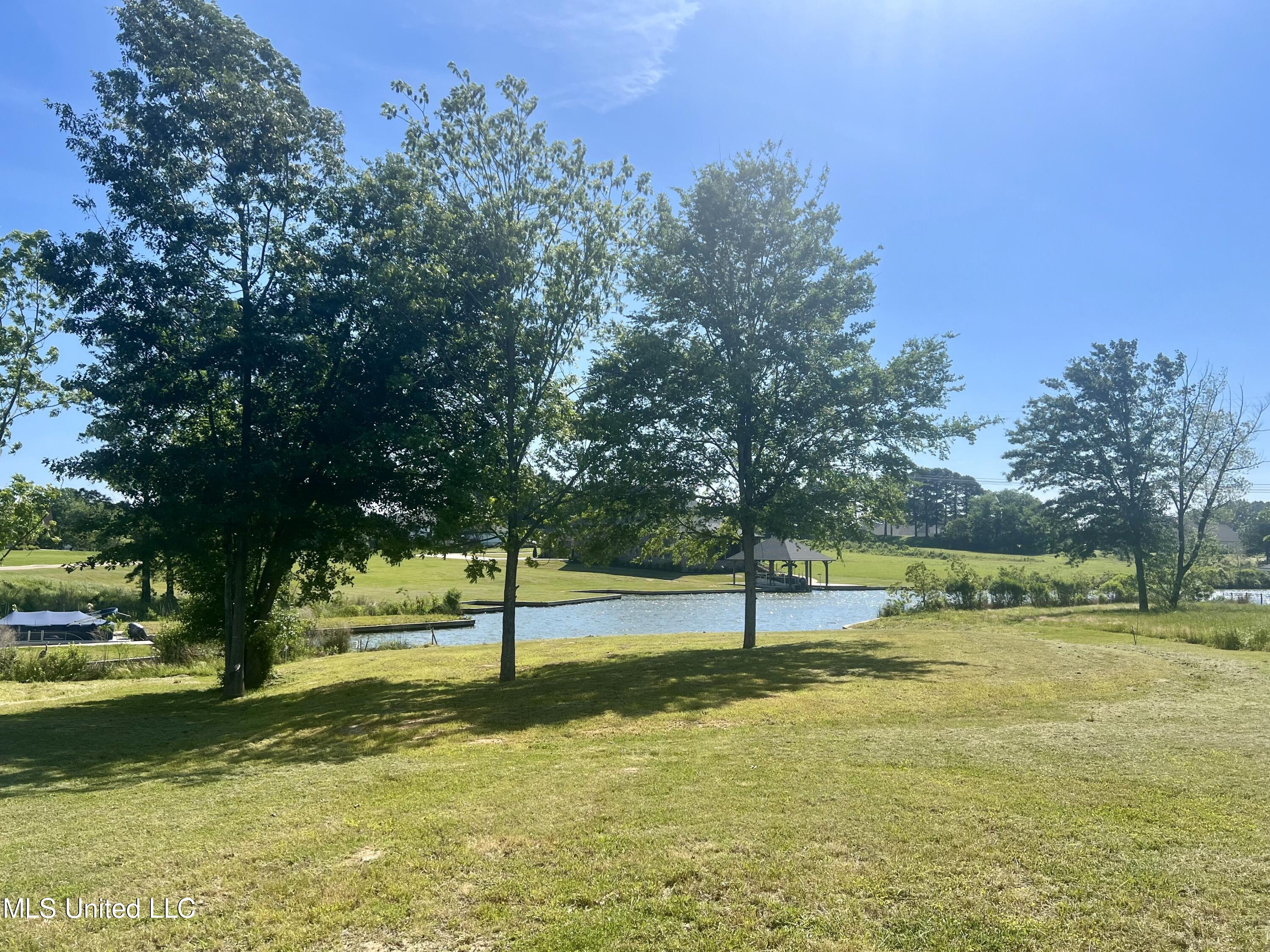 209 Harbor View Drive Madison, MS 39110 - Photo 16 of 22 IMG_1021