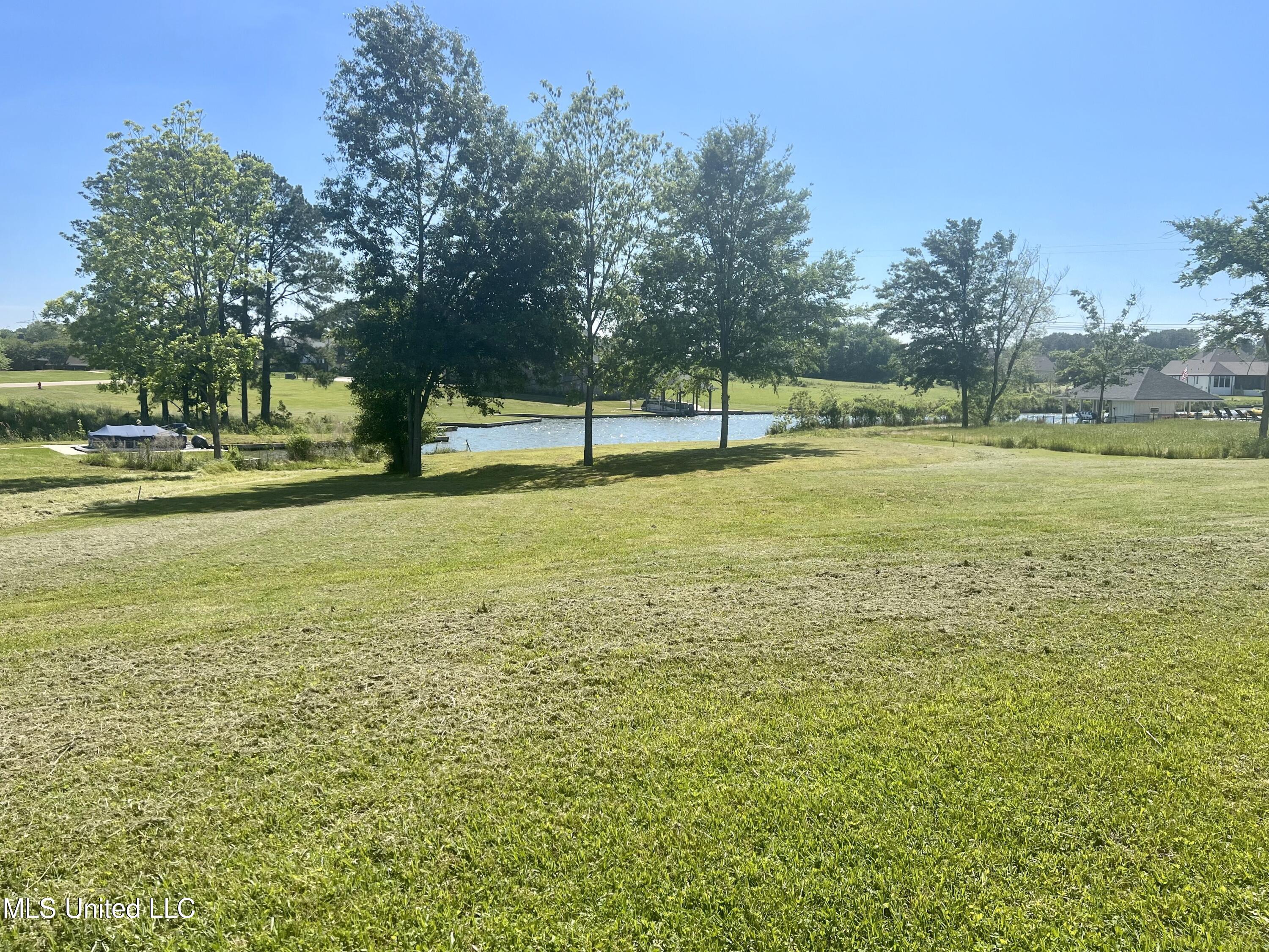 209 Harbor View Drive Madison, MS 39110 - Photo 20 of 22 IMG_1027