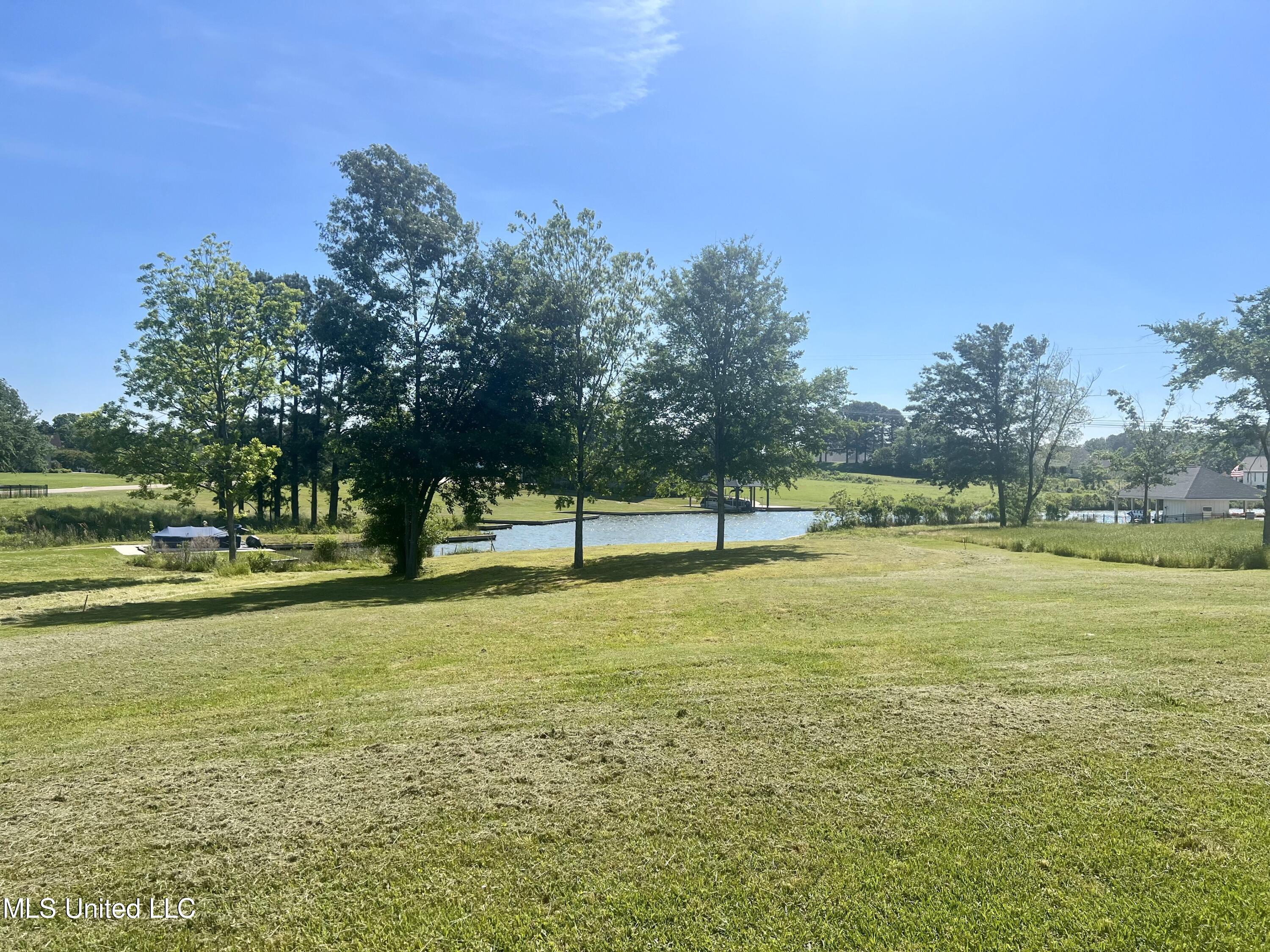 209 Harbor View Drive Madison, MS 39110 - Photo 22 of 22 IMG_1030