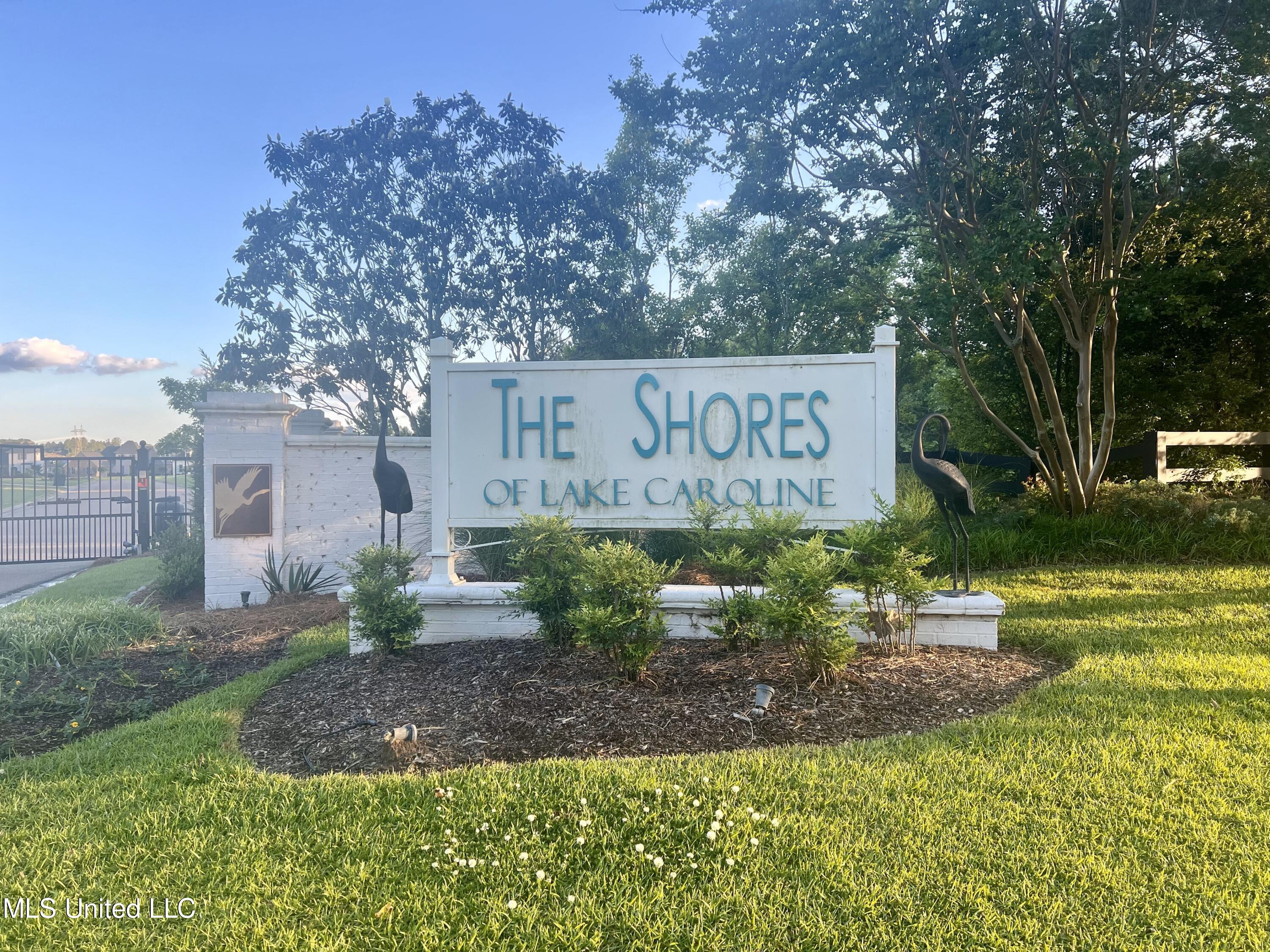 209 Harbor View Drive Madison, MS 39110 - Photo 3 of 22 IMG_1121