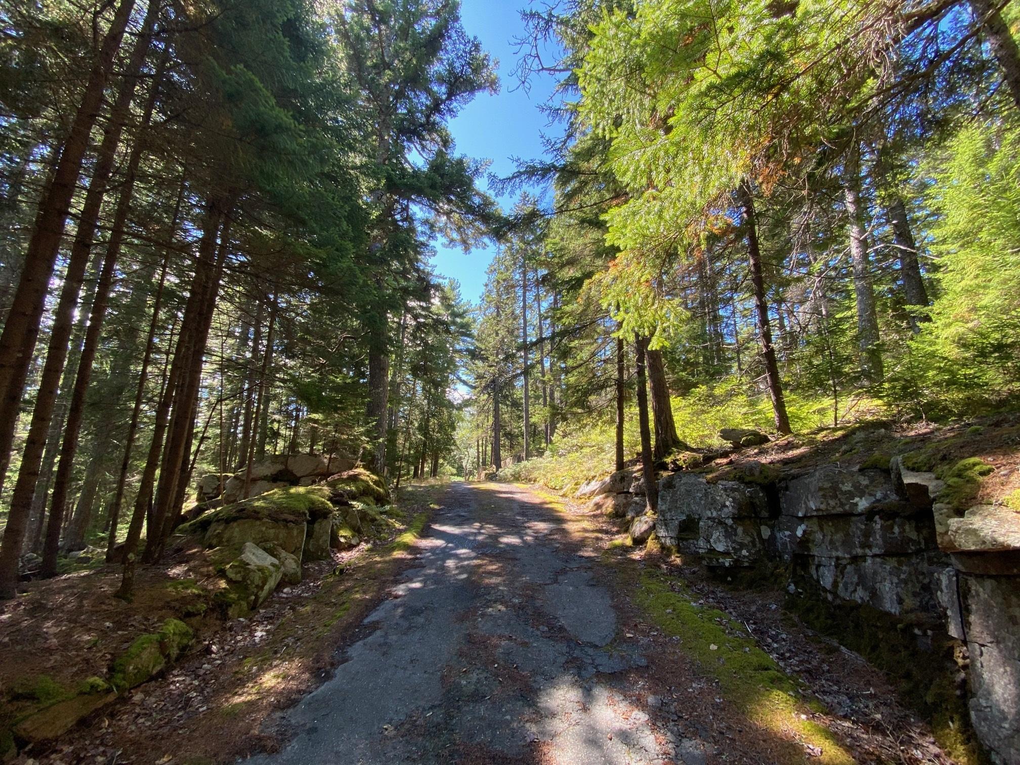 66 Harborside Road Mount Desert, ME 04662 - Photo 44 of 59 44