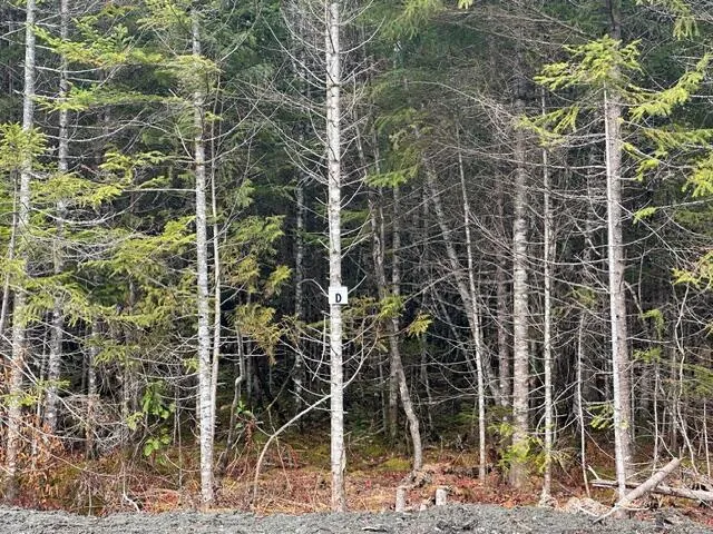 $62,500 | Lot F South Lot F S Whitetail Way, Greenville, ME 04441