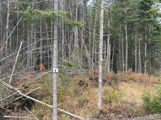 $62,500 | Lot F South Lot F S Whitetail Way, Greenville, ME 04441