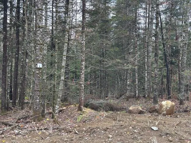 $62,500 | Lot F South Lot F S Whitetail Way, Greenville, ME 04441