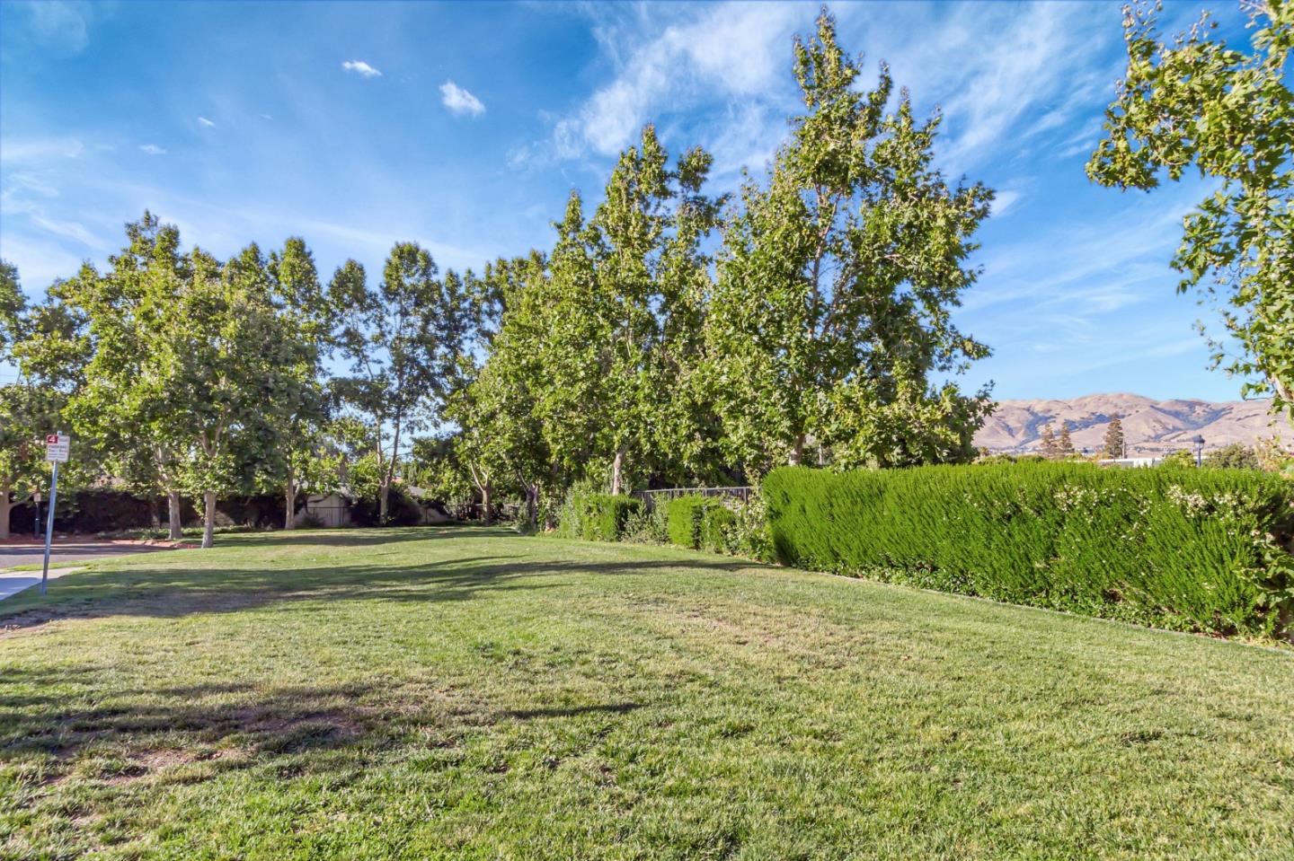 1142 Mente Linda Loop Milpitas, CA 95035 - Photo 35 of 36 a backyard of a house with lots of green space and fountain