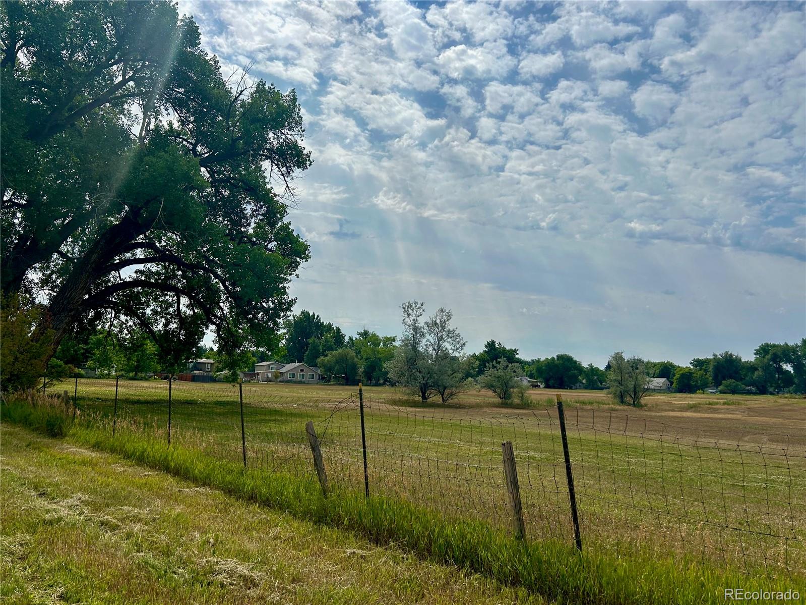 2895 Orchard Place Fort Collins, CO 80521 - Photo 12 of 15 a view of a lake with a yard and large trees