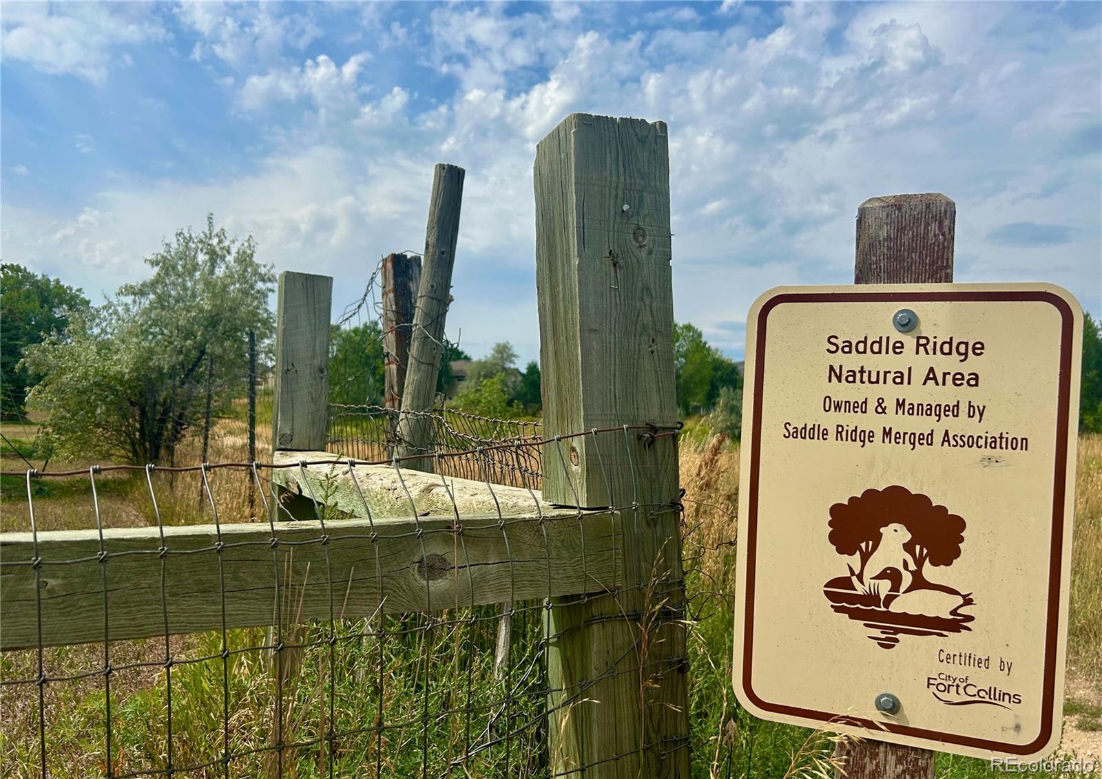 2895 Orchard Place Fort Collins, CO 80521 - Photo 5 of 15 swimming pool view with a garden and plants