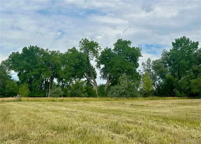 a view of a big yard with a fountain