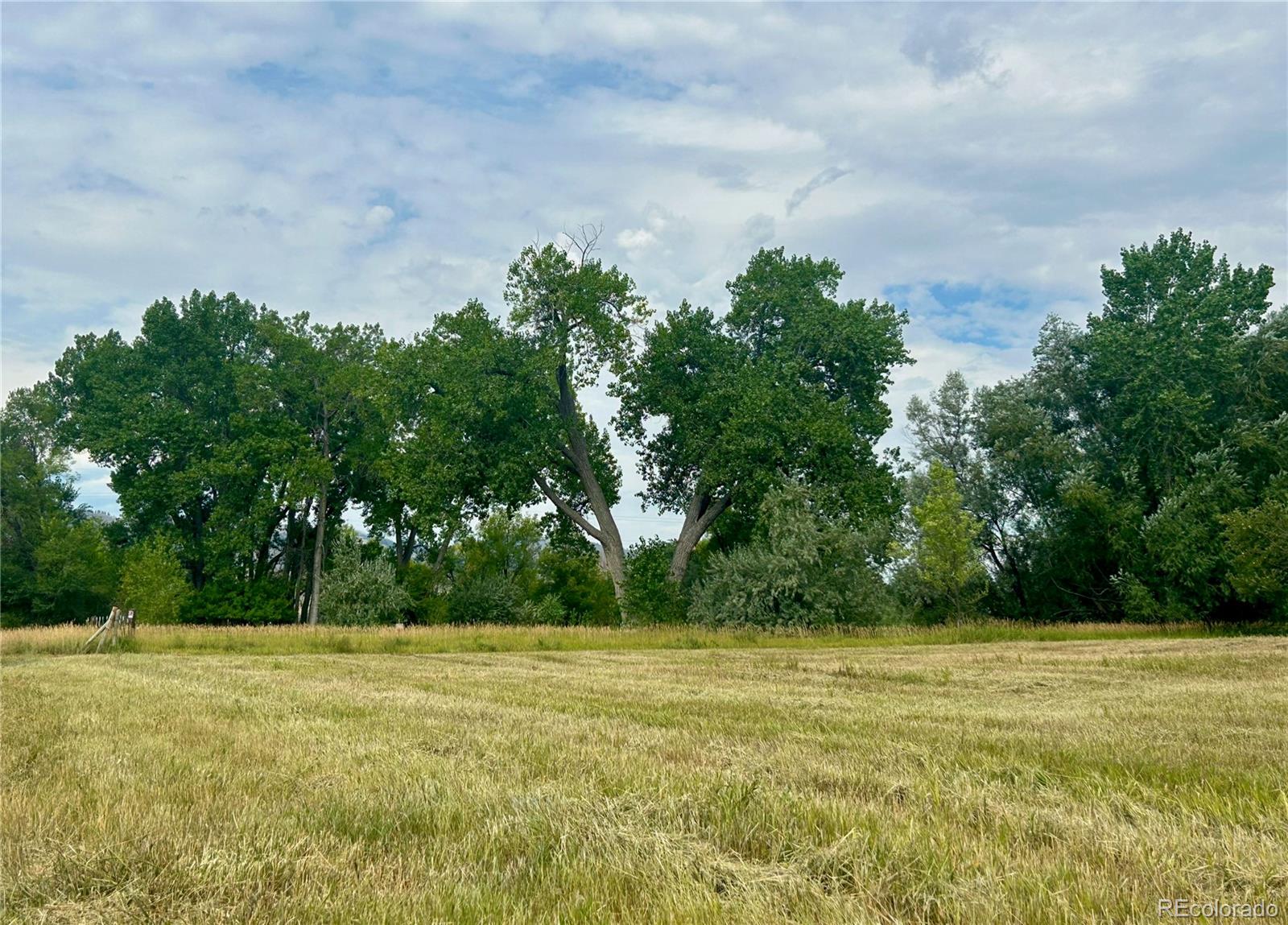 2895 Orchard Place Fort Collins, CO 80521 - Photo 8 of 15 a view of a field with a trees in the background