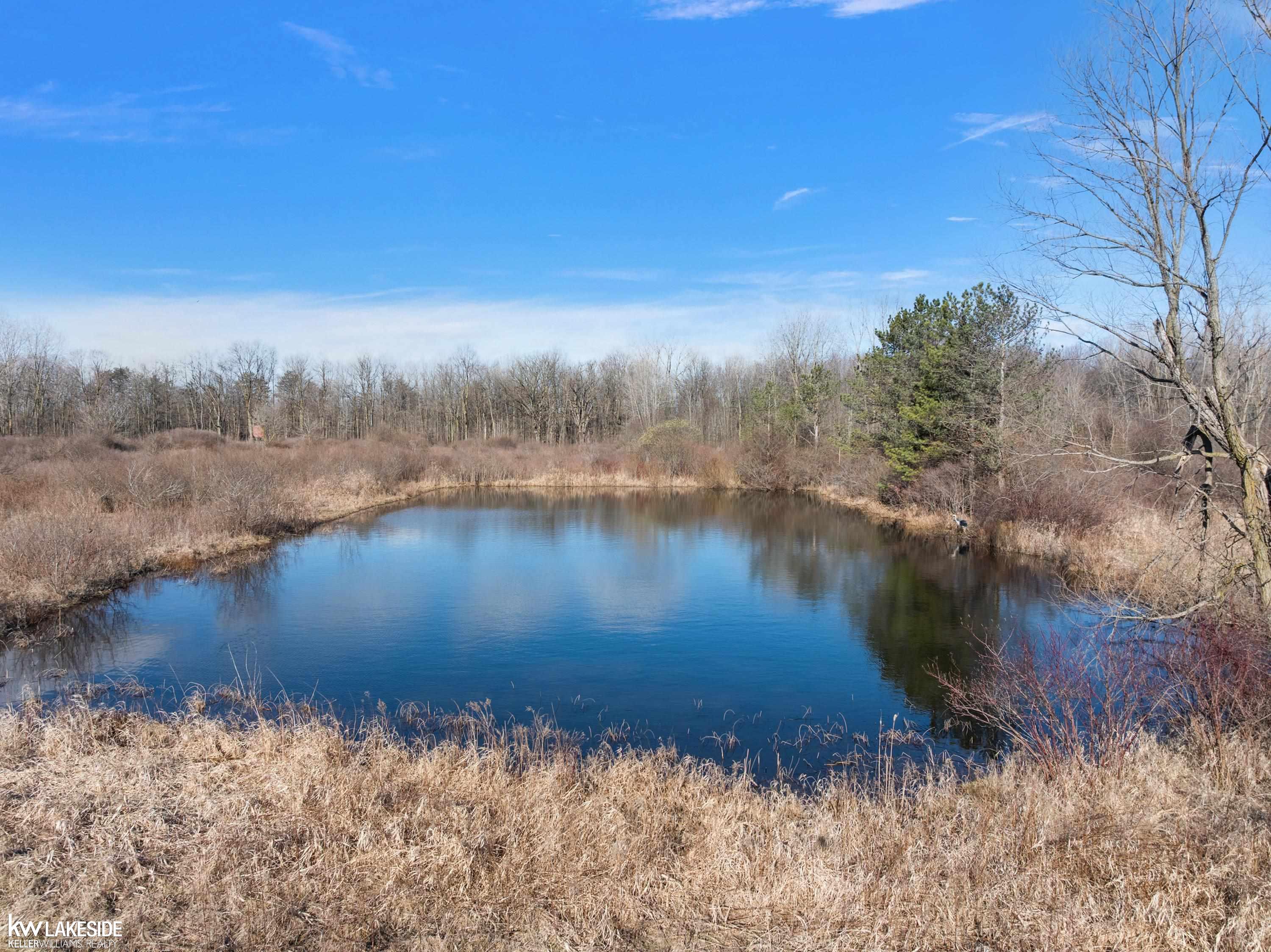 435 Capac Road Allenton, MI 48002 - Photo 55 of 62 50171000-cd1dee46-fe21-4eb0-9f24-4ed03225abf1.JPG