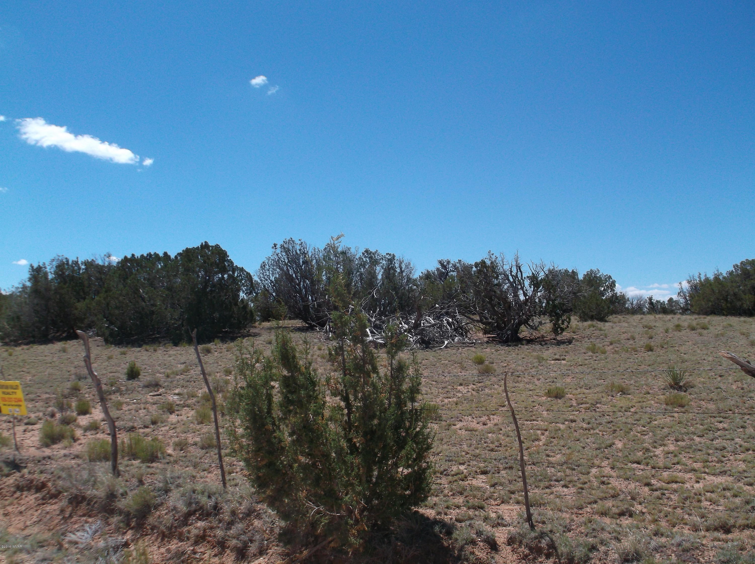 5 T17n R29e St. Johns, AZ 85936 - Photo 3 of 6