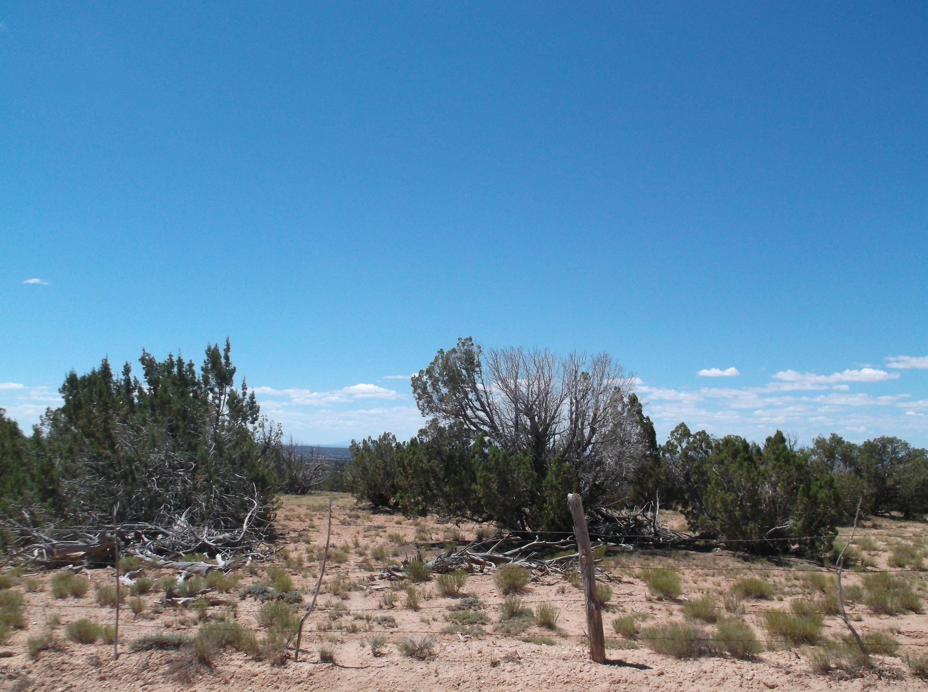 5 T17n R29e St. Johns, AZ 85936 - Photo 6 of 6