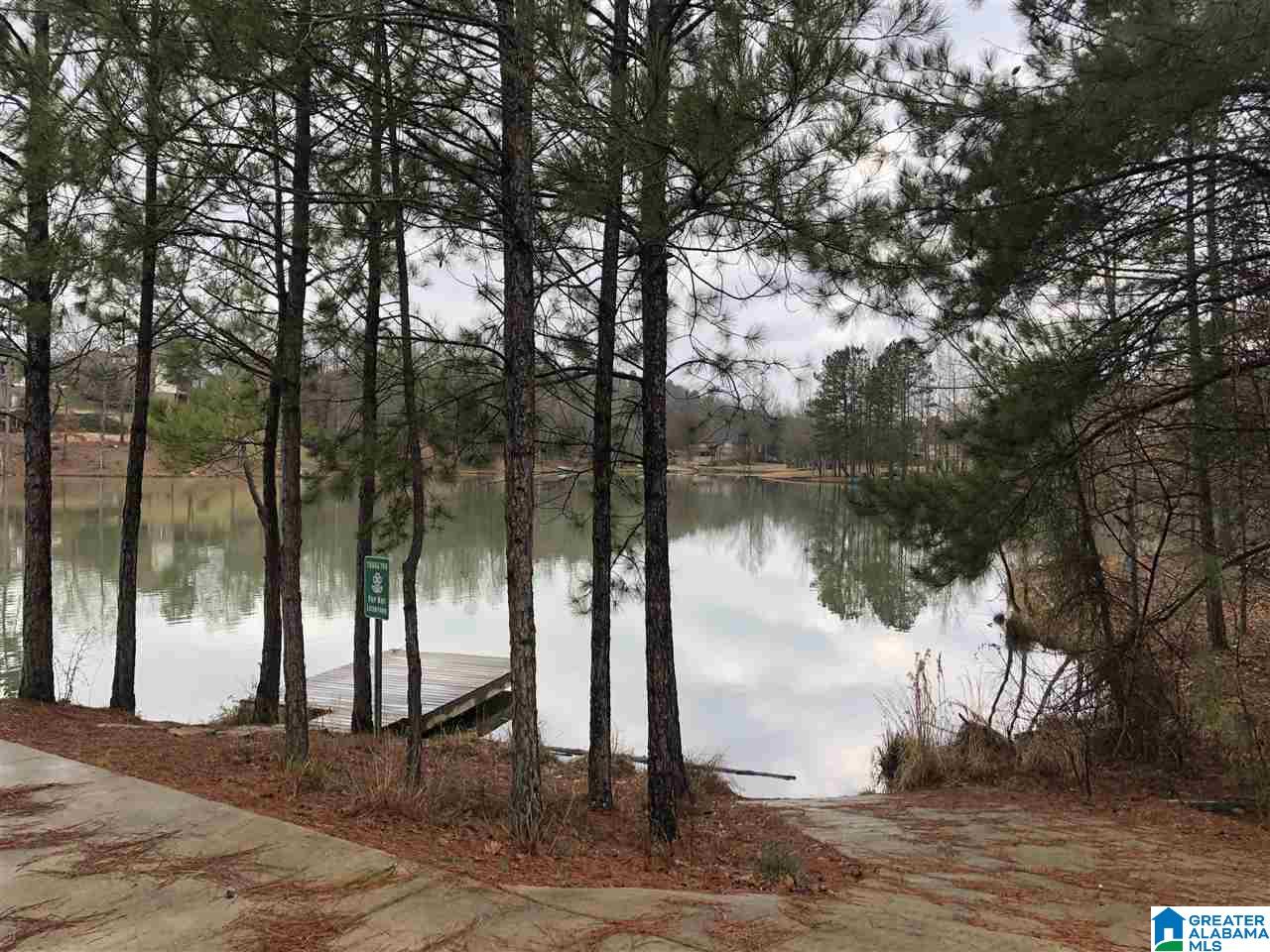 193 Ridgeline Drive Chelsea, AL 35043 - Photo 27 of 30