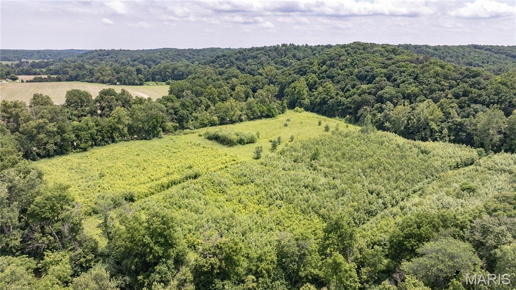 Tbd Hunting Club Road Grafton, IL 62037 - Photo 13 of 19