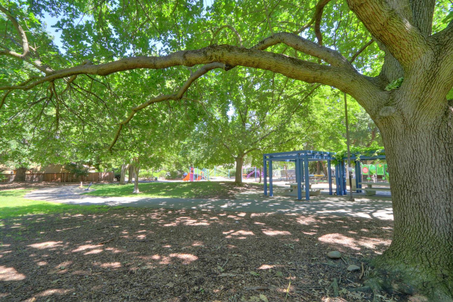 2911 Austin Street, Unit 4 Davis, CA 95618 - Photo 32 of 35