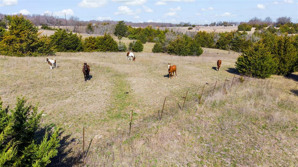 11016 South State Highway 78 Blue Ridge, TX 75424 - Photo 12 of 28 a view of a terrace with skyline
