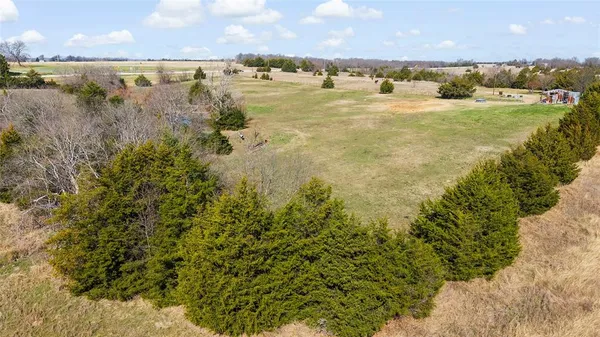 a view of a yard with trees