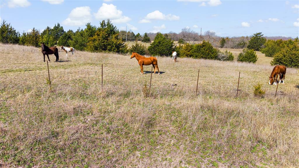 11016 South State Highway 78 Blue Ridge, TX 75424 - Photo 27 of 28 a view of a lake view