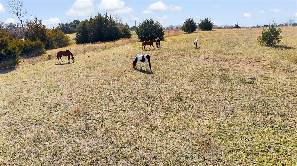 11016 South State Highway 78 Blue Ridge, TX 75424 - Photo 28 of 28