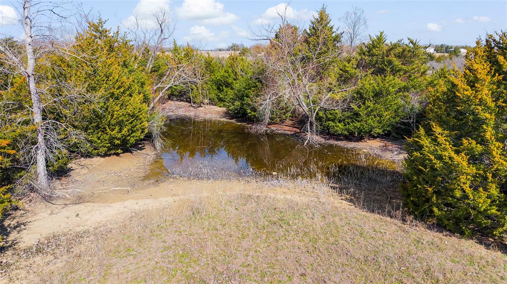 11016 South State Highway 78 Blue Ridge, TX 75424 - Photo 4 of 28 a view of a lake with a mountain