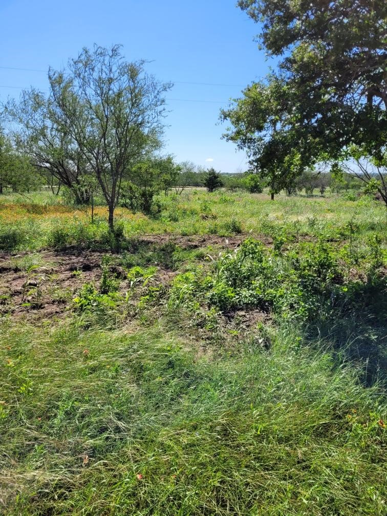 0 Emil Blank Road Yoakum, TX 77995 - Photo 2 of 7