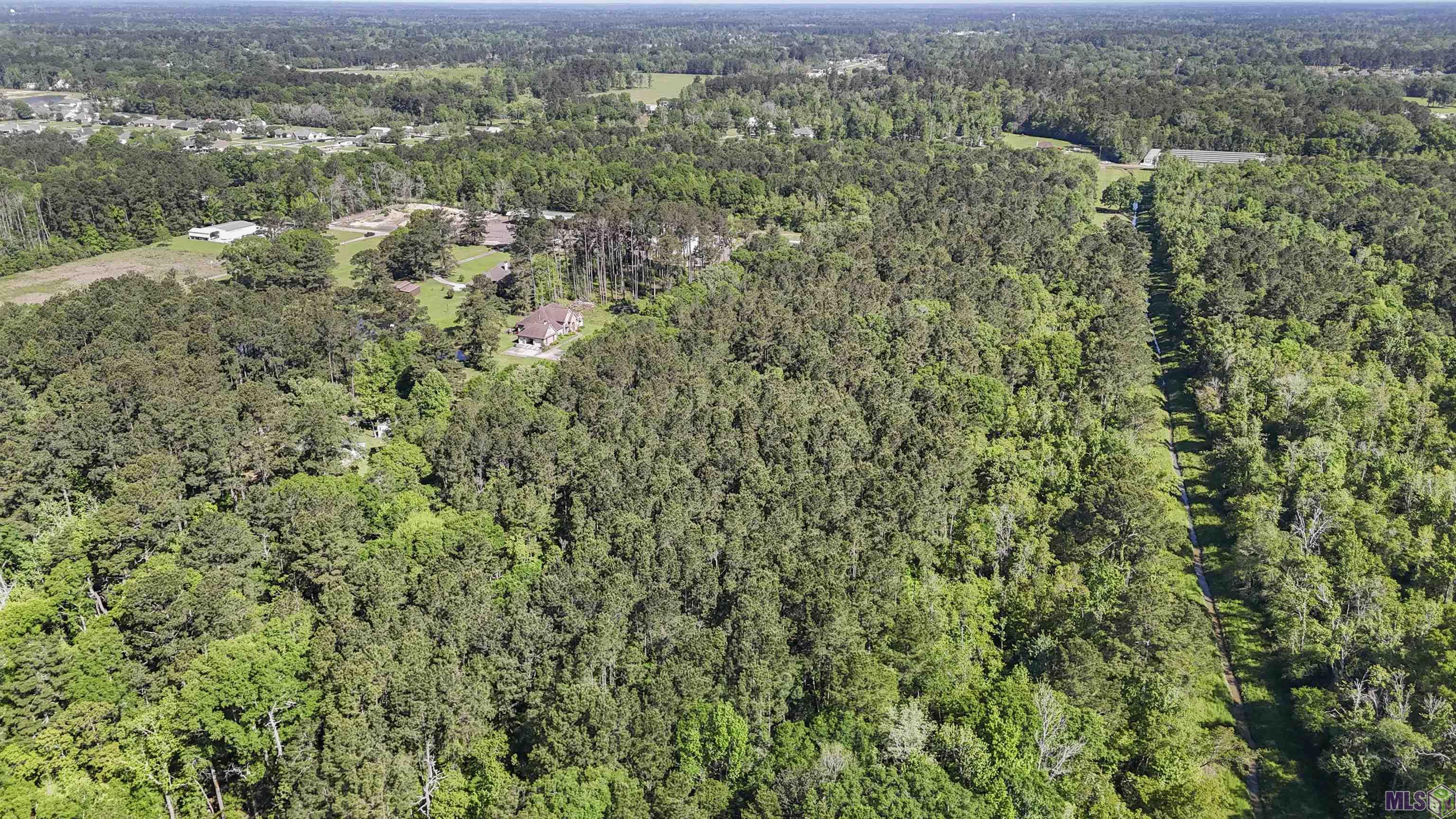 Tbd Avants Road Walker, LA 70785 - Photo 7 of 10 Gallery Image 7