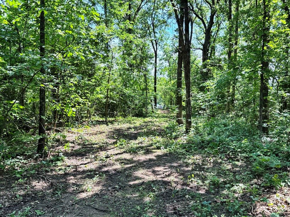 Tbd3 East 1550 Road Jerico Springs, MO 64756 - Photo 37 of 42
