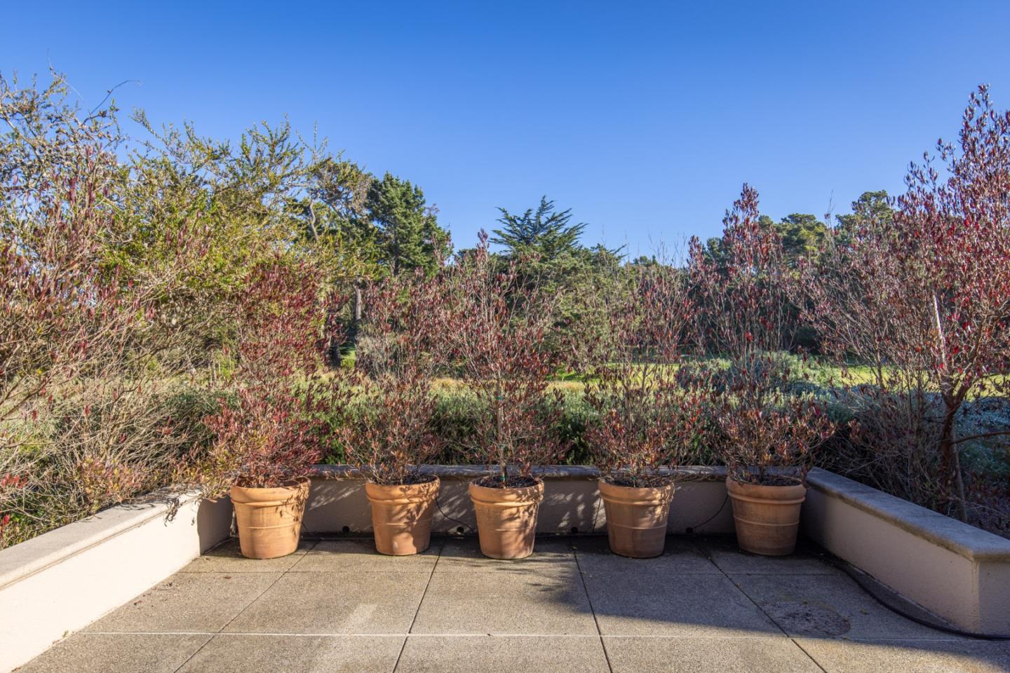 56 Spanish Bay Circle Pebble Beach, CA 93953 - Photo 7 of 26