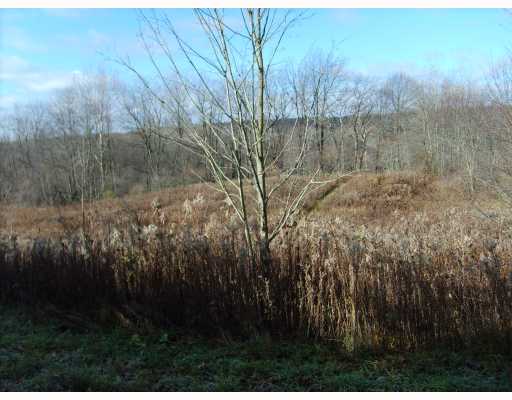 0 Edinboro Plank Road Edinboro, PA 16412 - Photo 2 of 4 Land.