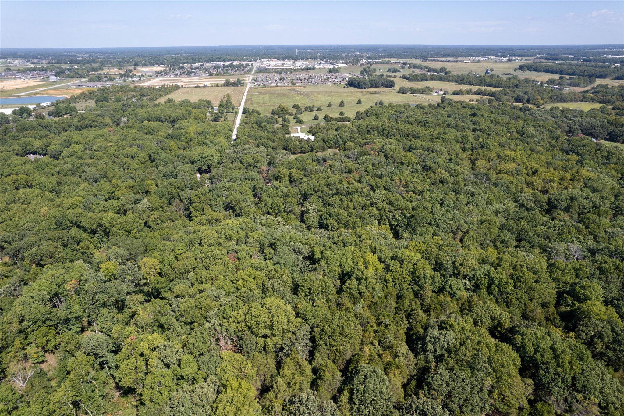 0 Watts Road Rogersville, MO 65742 - Photo 11 of 51 11-dji_fly_20220921_114636_224_166377919