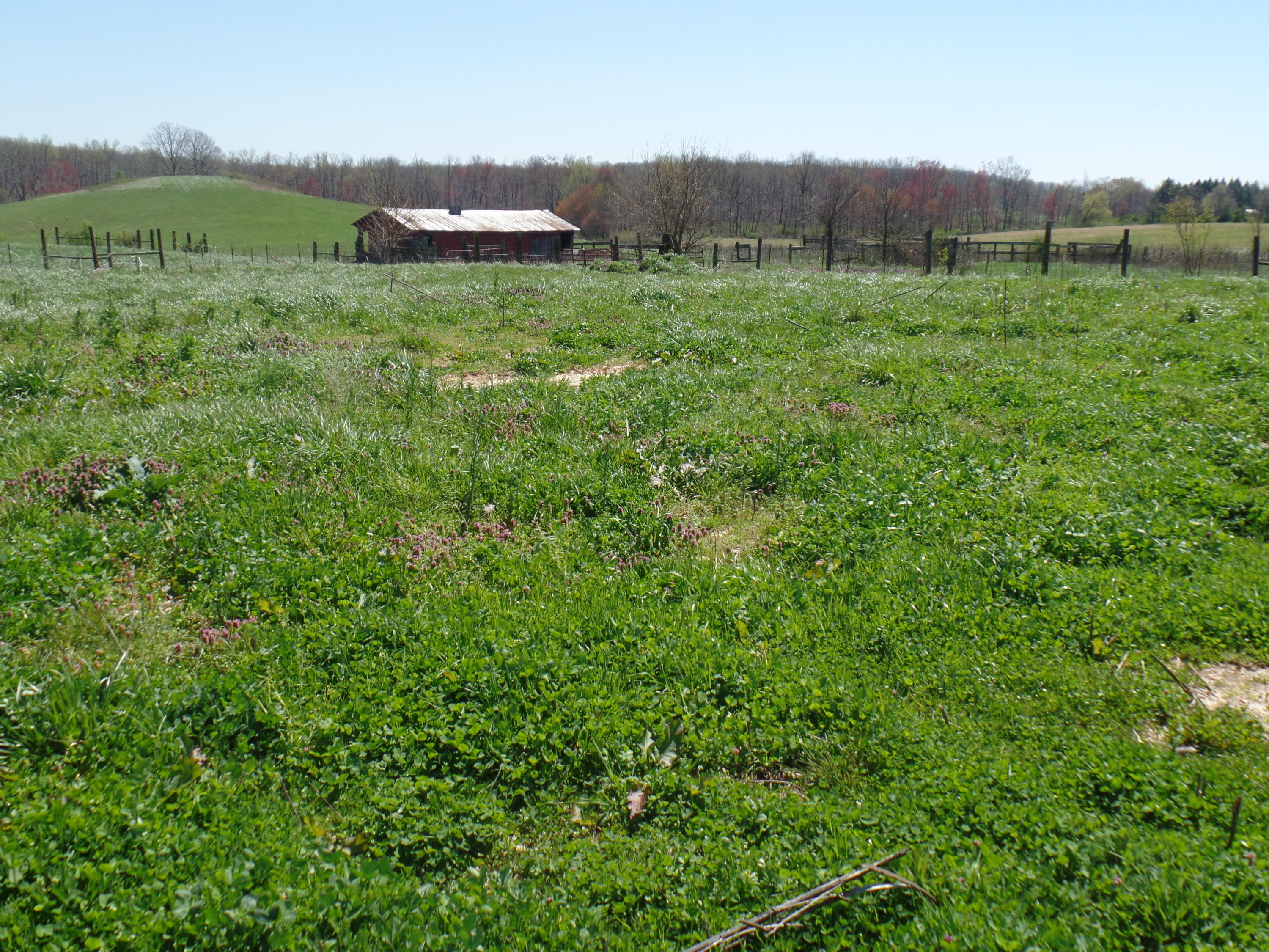 12 Walkertown Road Dayton, TN 37321 - Photo 4 of 7 SAM_1301