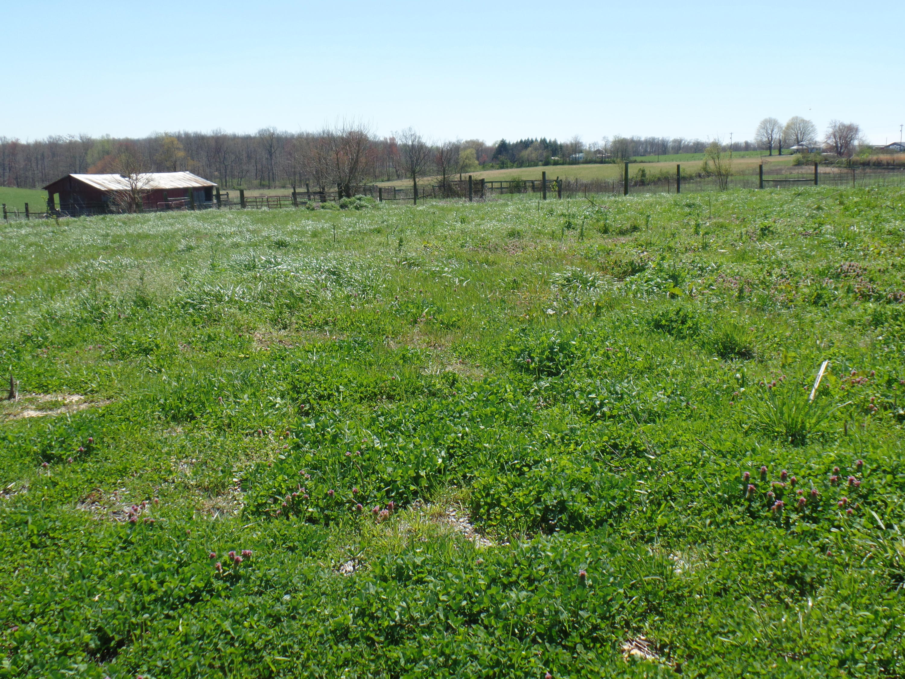 12 Walkertown Road Dayton, TN 37321 - Photo 5 of 7 SAM_1302