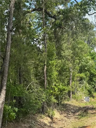 $77,500 | B Philadelphia Road, Deville, LA 71328