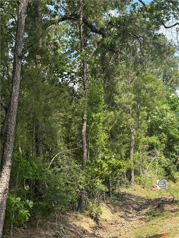 B Philadelphia Road Deville, LA 71328 - Photo 15 of 15