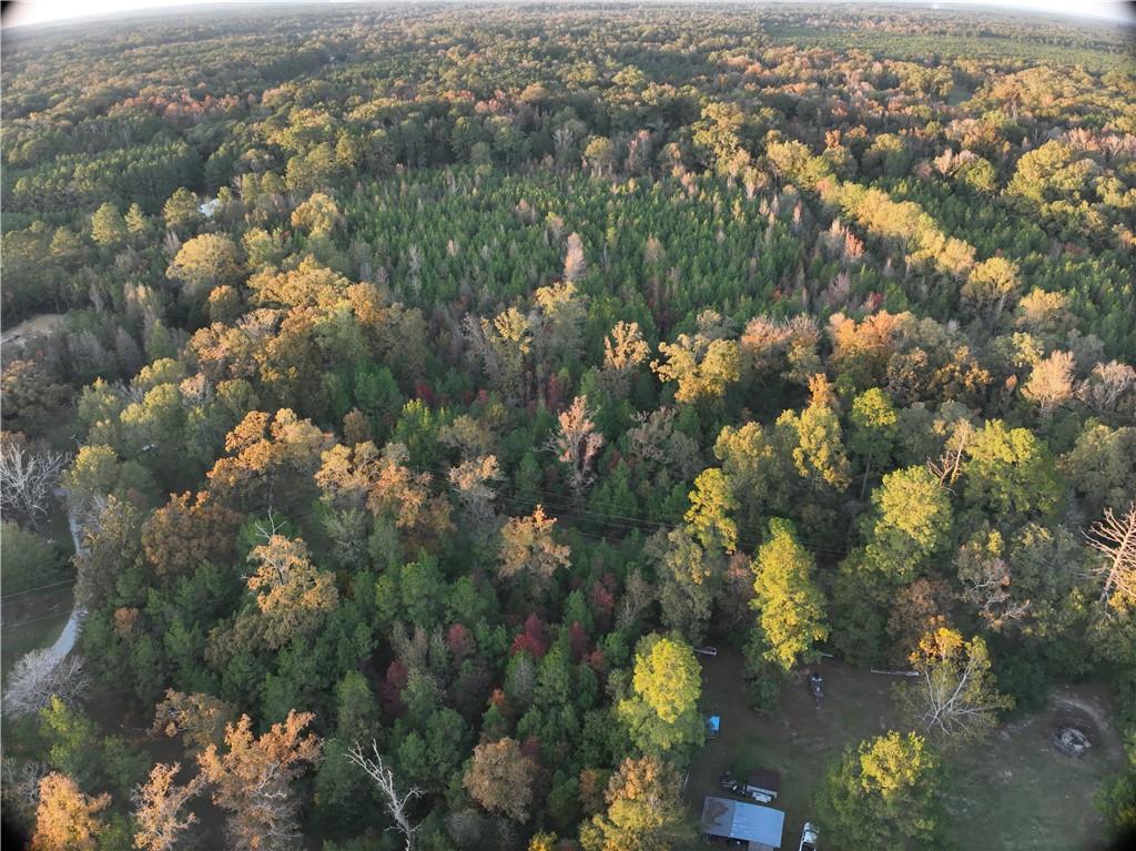 B Philadelphia Road Deville, LA 71328 - Photo 3 of 15