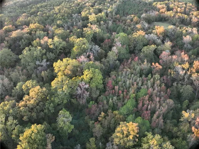 $77,500 | B Philadelphia Road, Deville, LA 71328